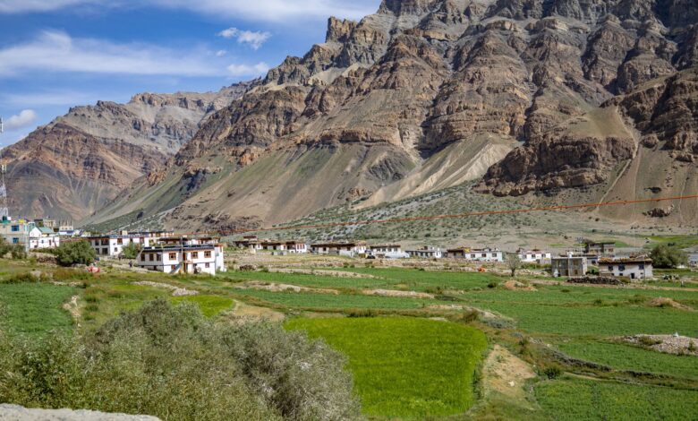Traditional timber village on a high-altitude plateau surrounded by pine forest and open meadows