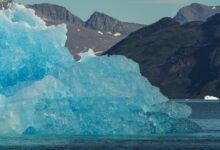 Wide aerial view of a deep Arctic fjord surrounded by snow-capped cliffs and icebergs