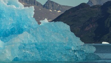 Wide aerial view of a deep Arctic fjord surrounded by snow-capped cliffs and icebergs