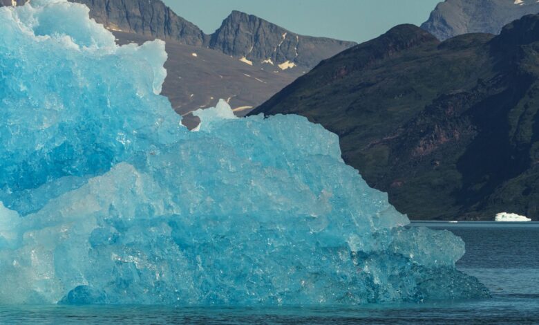 Wide aerial view of a deep Arctic fjord surrounded by snow-capped cliffs and icebergs