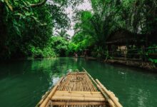 A narrow dugout canoe moving along a wide jungle river surrounded by dense rainforest