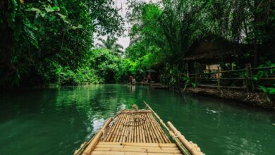 A narrow dugout canoe moving along a wide jungle river surrounded by dense rainforest