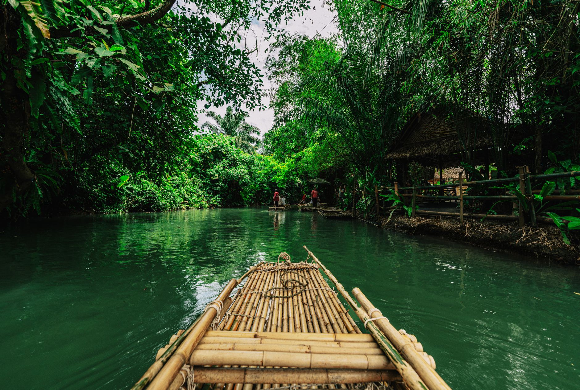 A narrow dugout canoe moving along a wide jungle river surrounded by dense rainforest