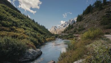A narrow mountain valley with a river running through remote Central Asian terrain