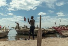 Calm lake shoreline in Africa with baobab trees and clear blue water