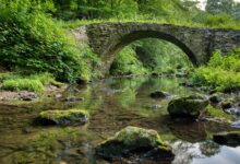 Ancient stone arch bridge crossing a clear mountain river in a forested Greek gorge