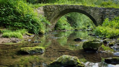 Ancient stone arch bridge crossing a clear mountain river in a forested Greek gorge