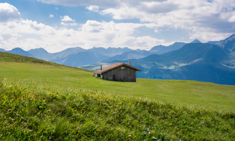 Lush green alpine meadow with mountain peaks in the background under a partly cloudy sky