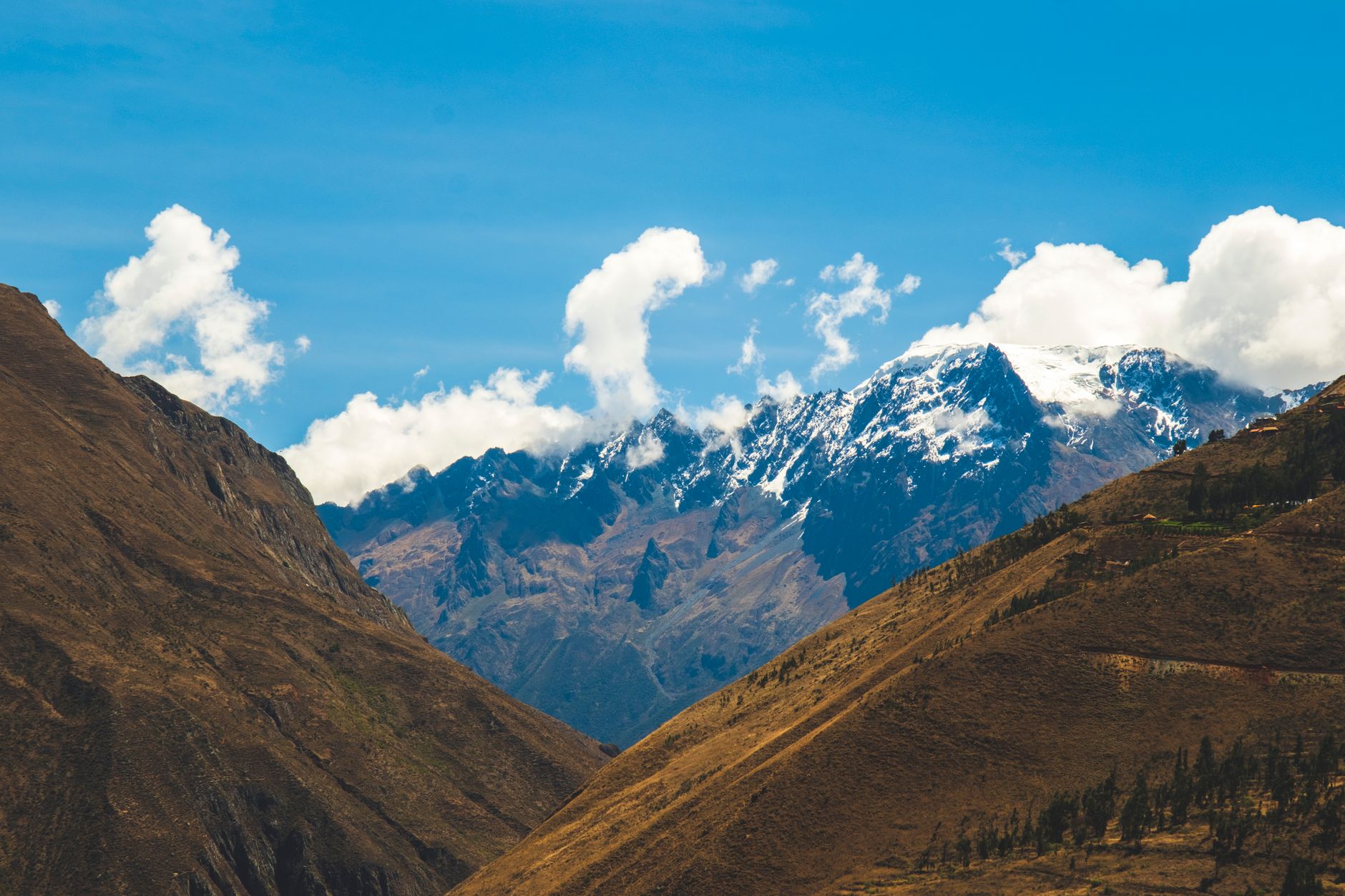 Misty cloud forest covering steep Andean mountain slopes in northern Peru