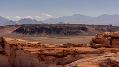 Star-filled night sky above the arid Atacama Desert landscape in Chile