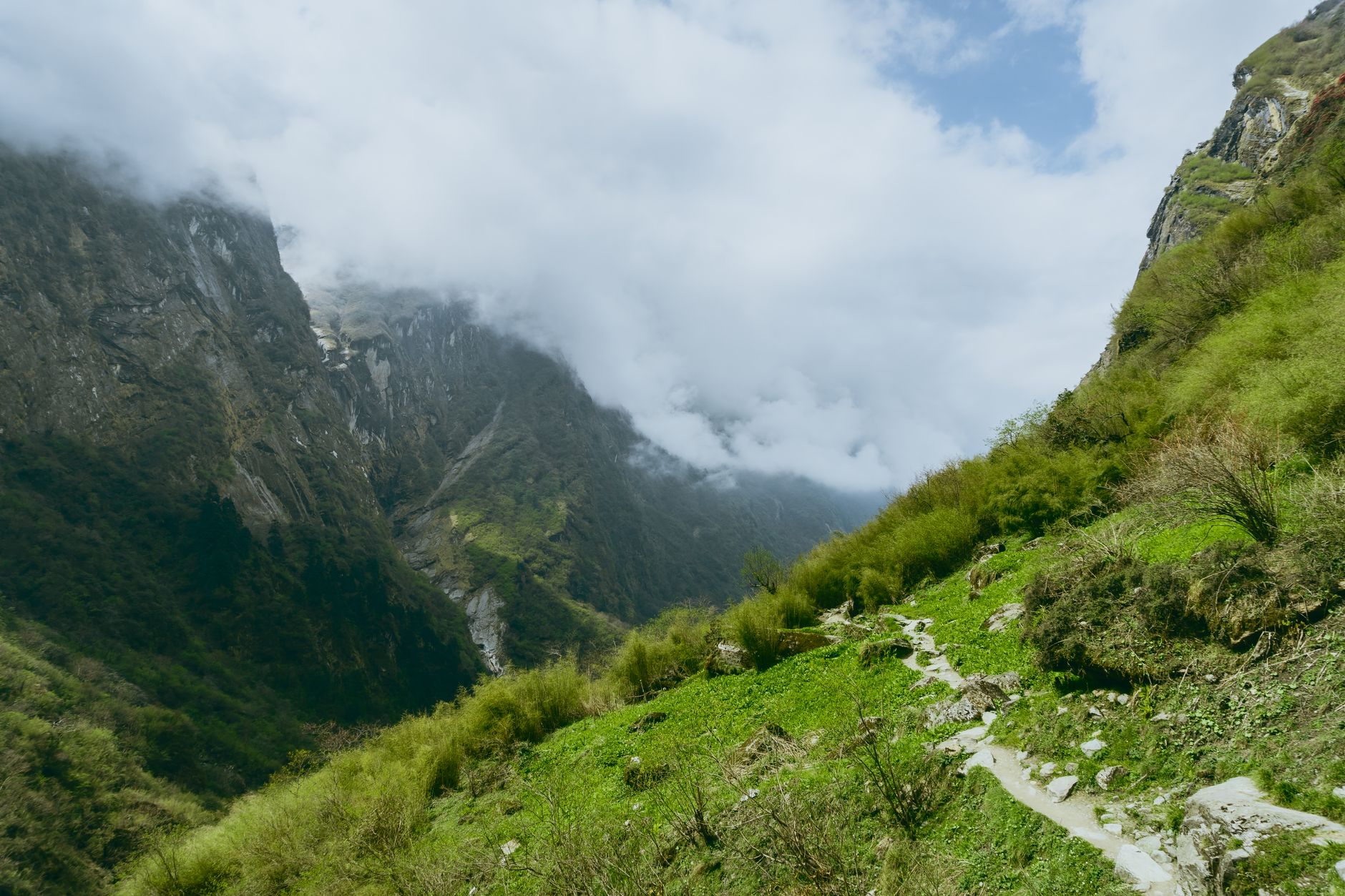 Hiker on a narrow mountain trail with steep forested slopes in the background