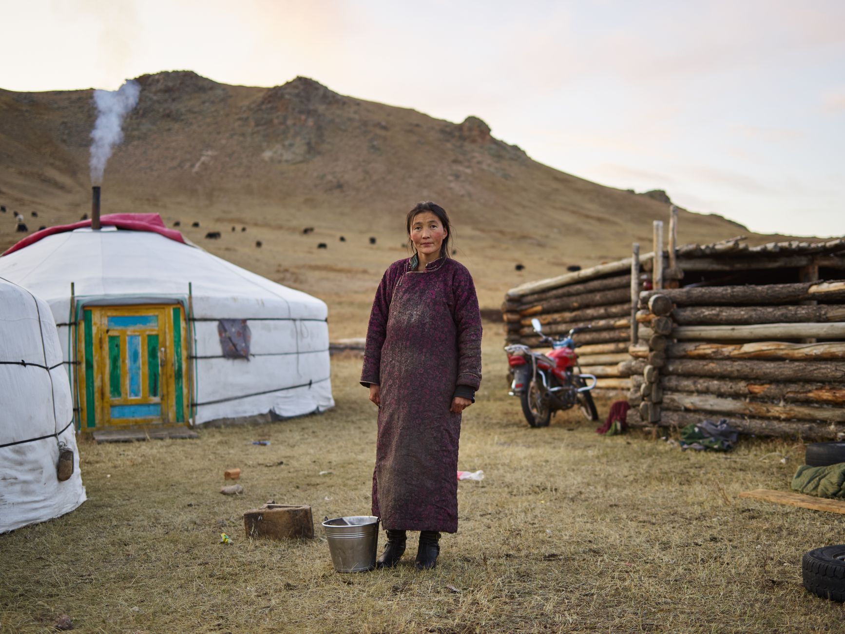 Traditional Mongolian ger tent on open grassland with horses grazing nearby