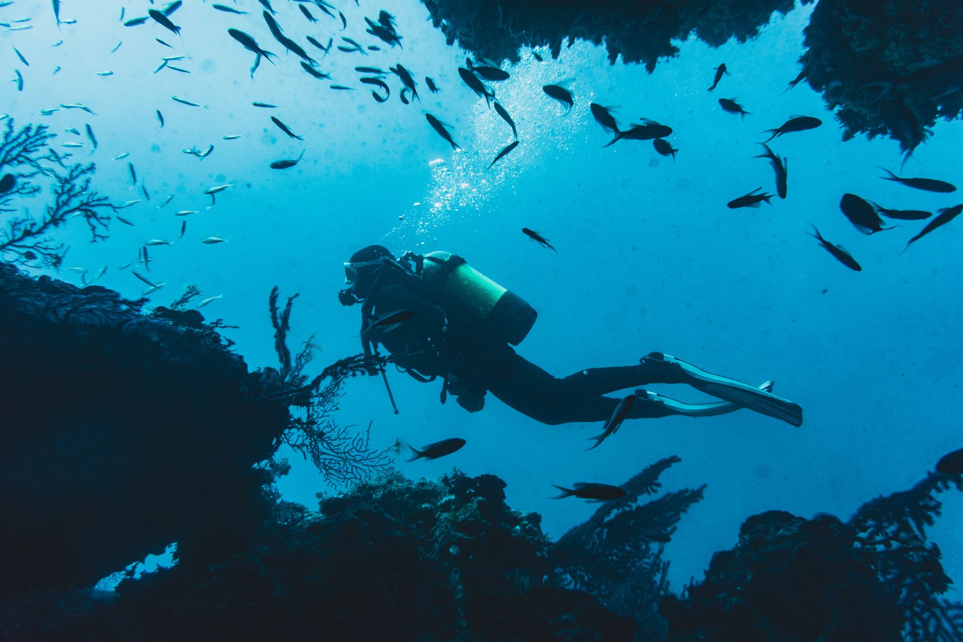 Scuba diver exploring a vibrant coral wall with sea fans and tropical fish