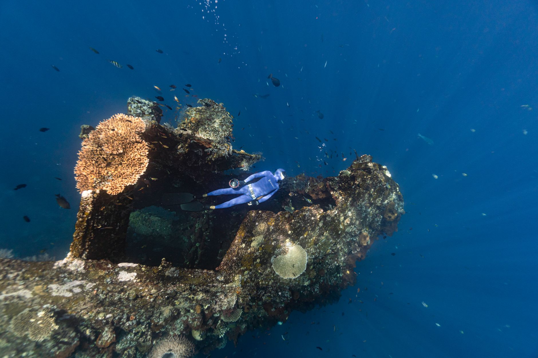 Scuba diver exploring a vibrant coral reef wall in clear Pacific waters