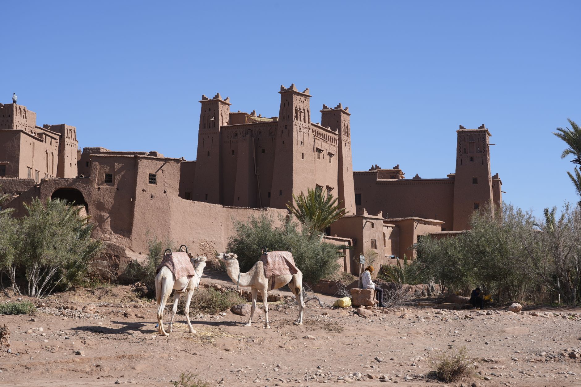 Ancient rammed earth kasbah architecture rising above a palmerie in Morocco's pre-Saharan valley