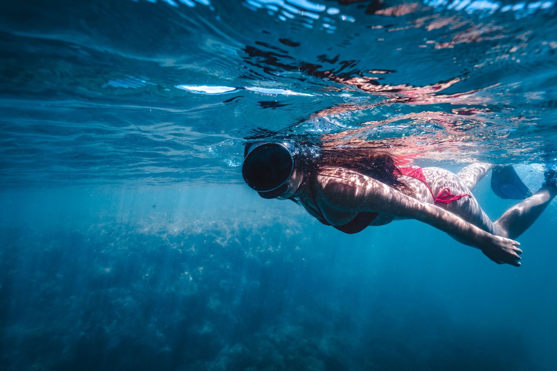 Snorkeler underwater in clear freshwater lake observing colorful fish