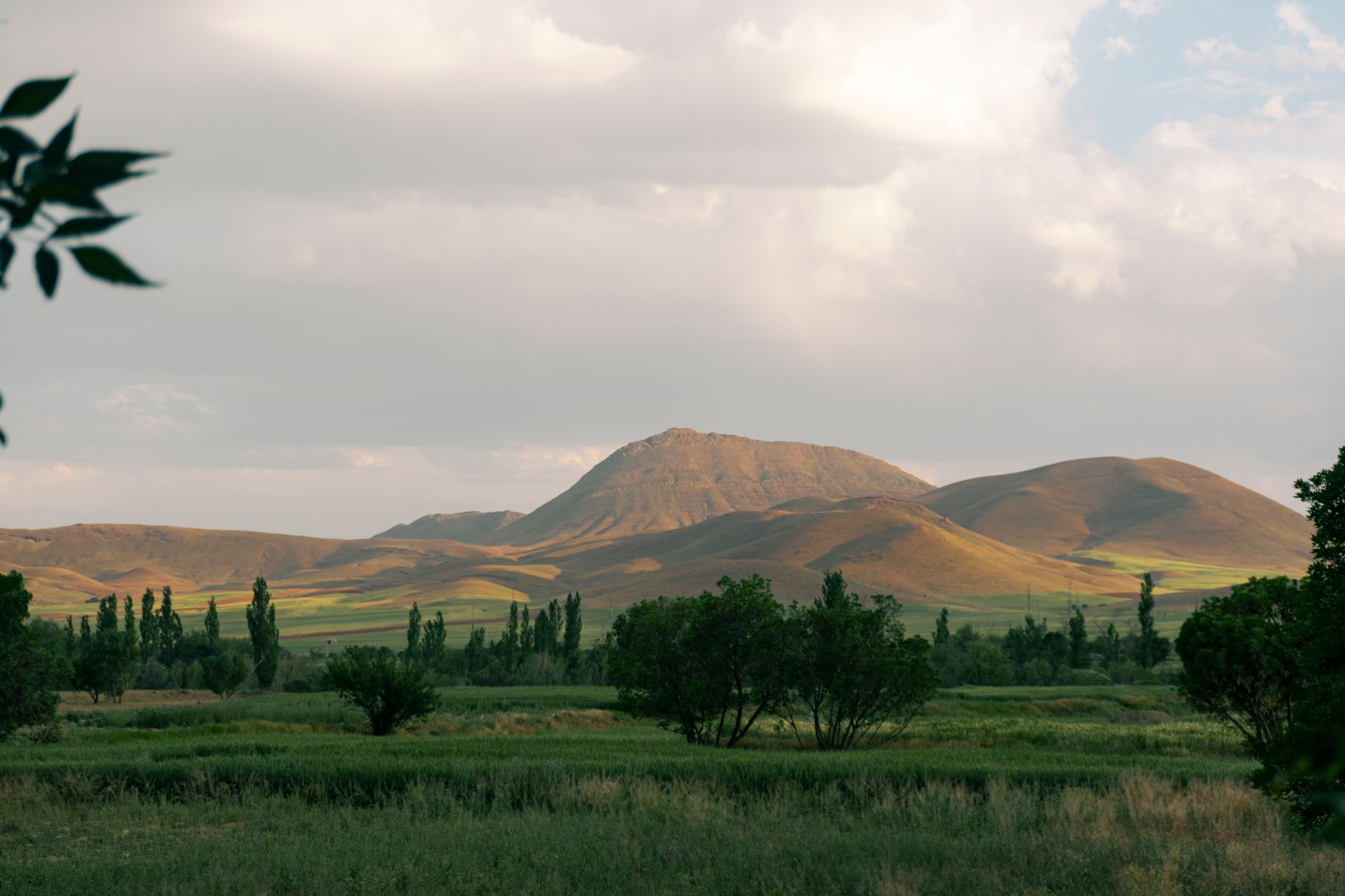 Terraced green valley surrounded by snow-capped peaks in the Alborz Mountains of Iran