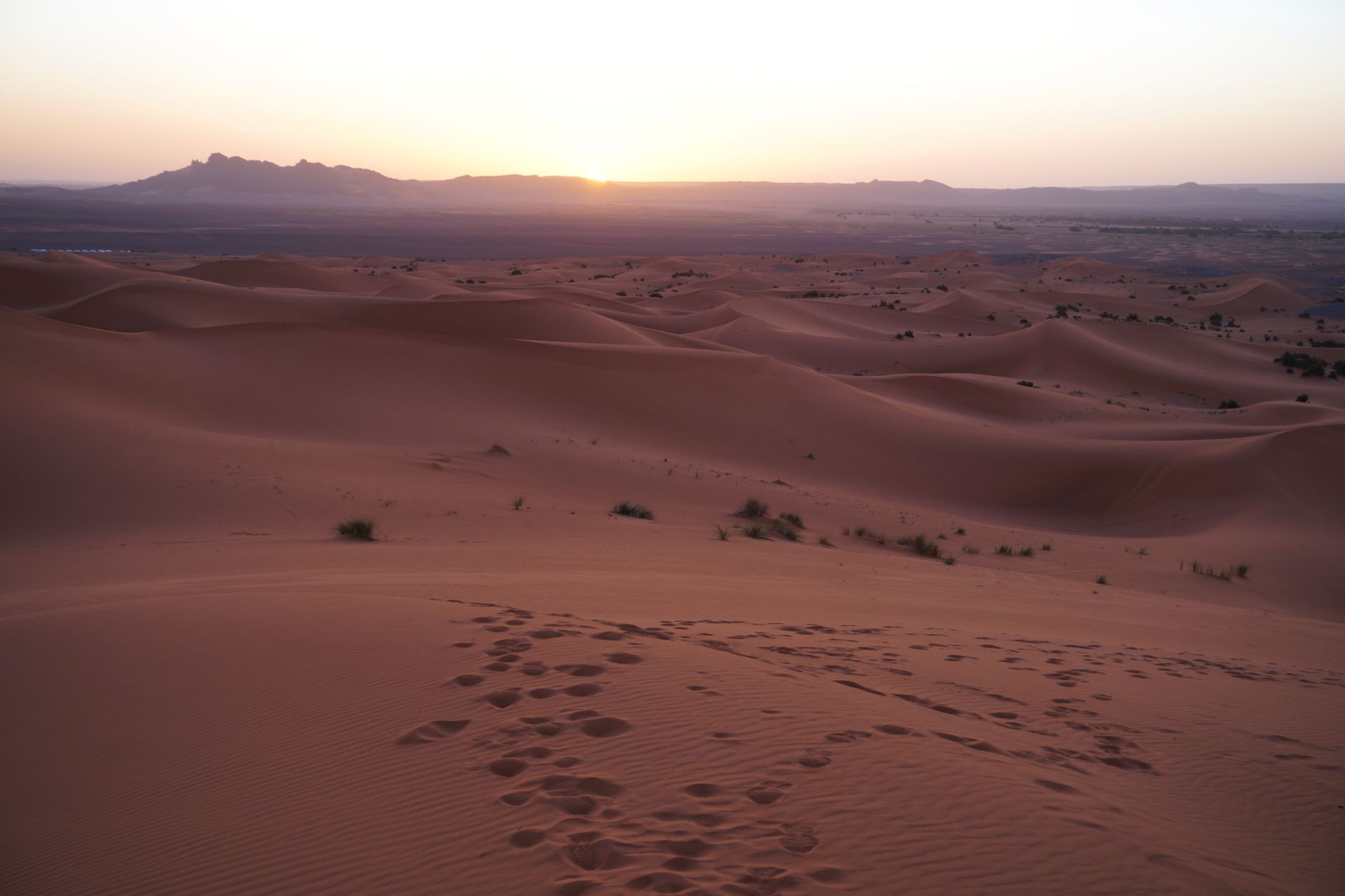 Wide desert landscape at sunrise with warm orange light across rocky terrain