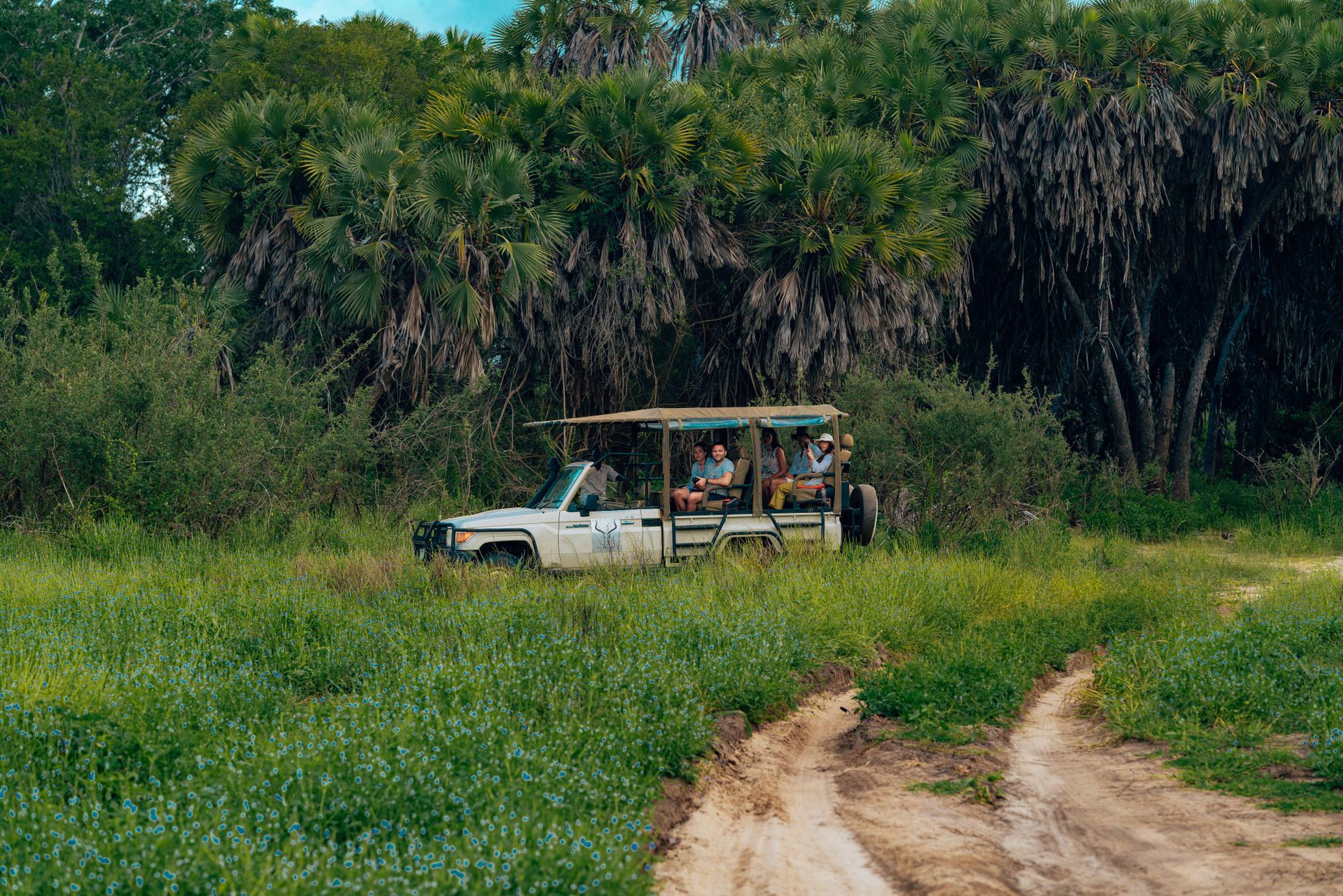 Safari vehicle on open plains watching wildlife in a remote African national park