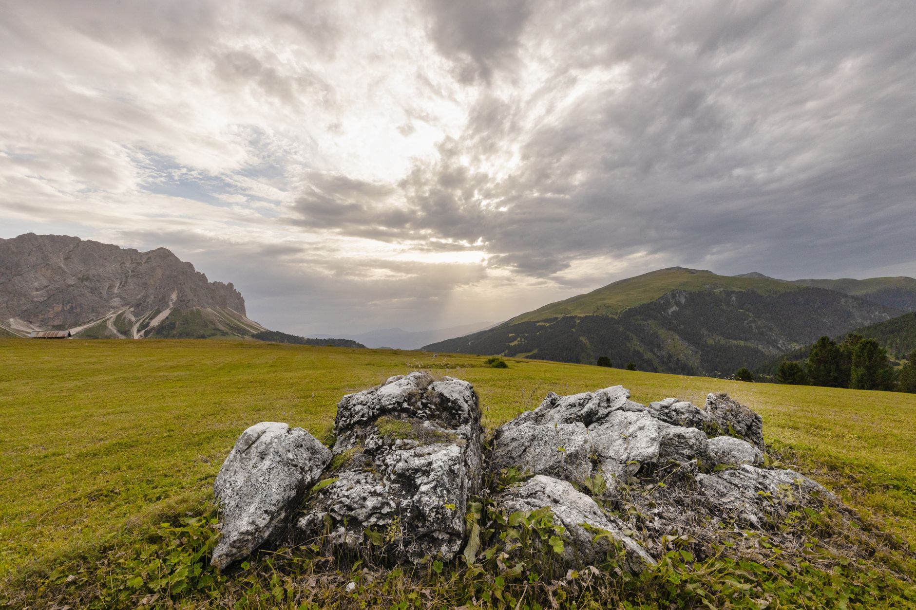Wide open highland plateau with basalt rock formations and rolling grasslands at altitude