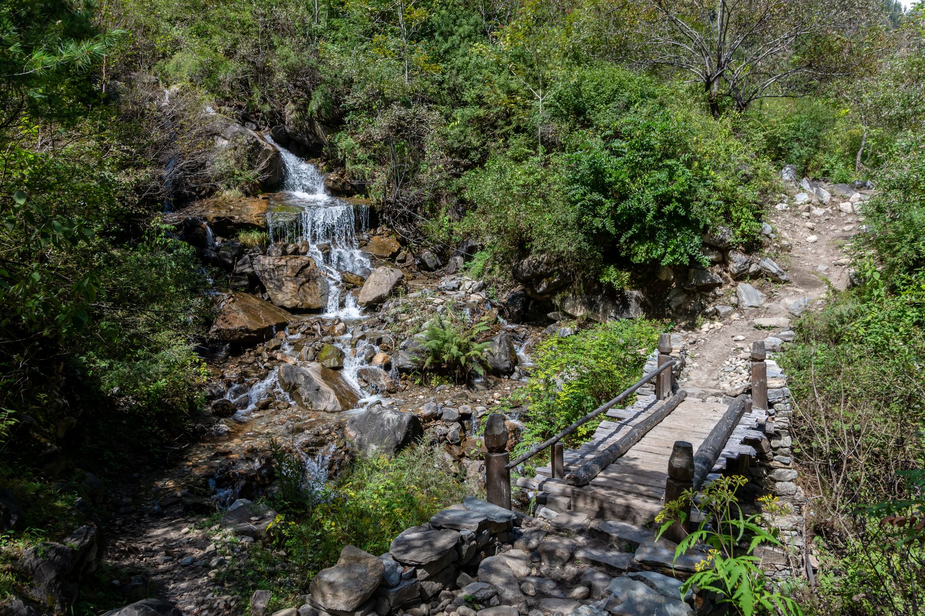 Hikers on a forested trail approaching a tall waterfall in South American cloud forest