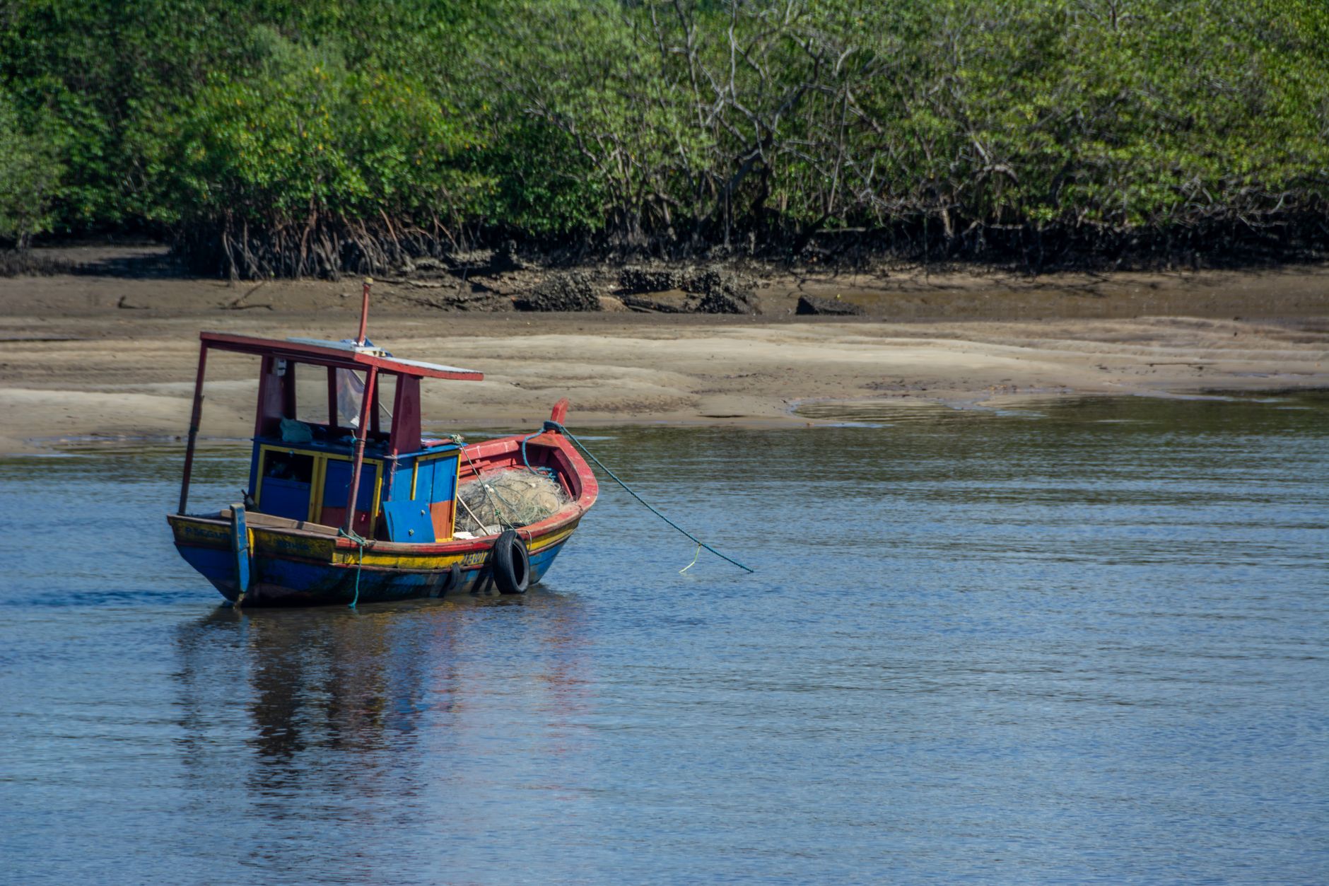 A small guided boat navigating a calm lagoon channel through dense wetland reeds