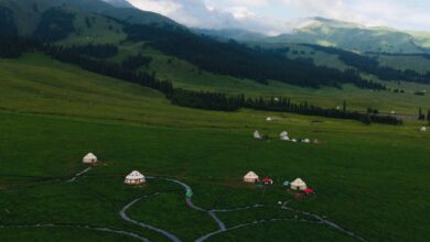 Traditional yurt nestled among walnut trees in a Central Asian mountain village