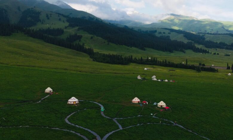 Traditional yurt nestled among walnut trees in a Central Asian mountain village
