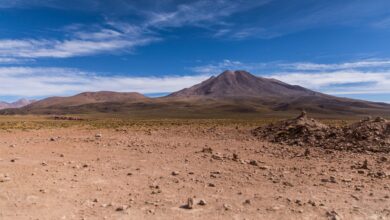 Snow-capped peaks rising above high-altitude puna grassland in Bolivia's remote Cordillera Apolobamba range