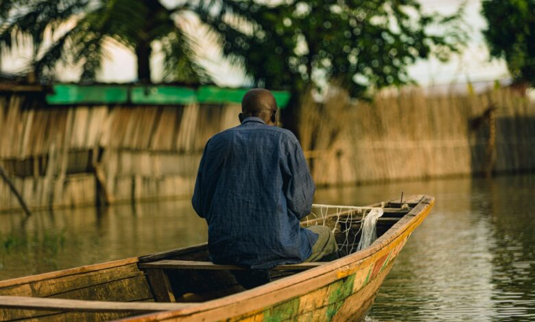 A wooden pirogue canoe on a calm river in West Africa surrounded by mangrove trees