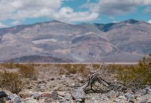 Rocky volcanic mountain ridges rising from a vast desert landscape under a clear sky