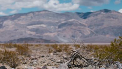 Rocky volcanic mountain ridges rising from a vast desert landscape under a clear sky