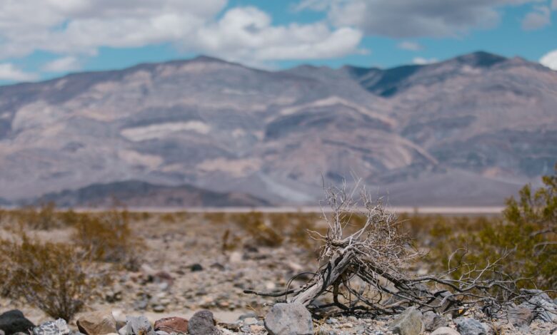 Rocky volcanic mountain ridges rising from a vast desert landscape under a clear sky