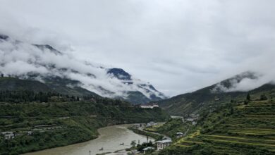 Wide green valley in Bhutan with traditional farmhouses and forested ridgelines in the background