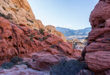 Towering sandstone rock formations rising above the flat desert floor of Wadi Rum at golden hour