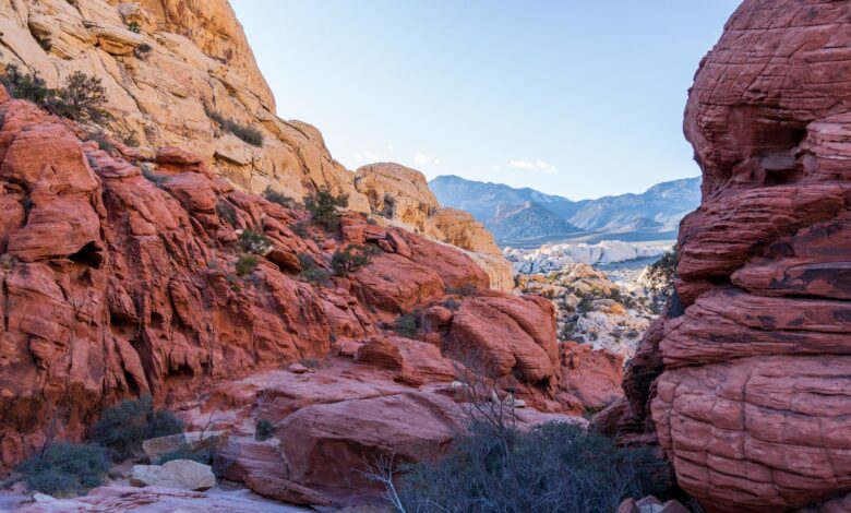 Towering sandstone rock formations rising above the flat desert floor of Wadi Rum at golden hour