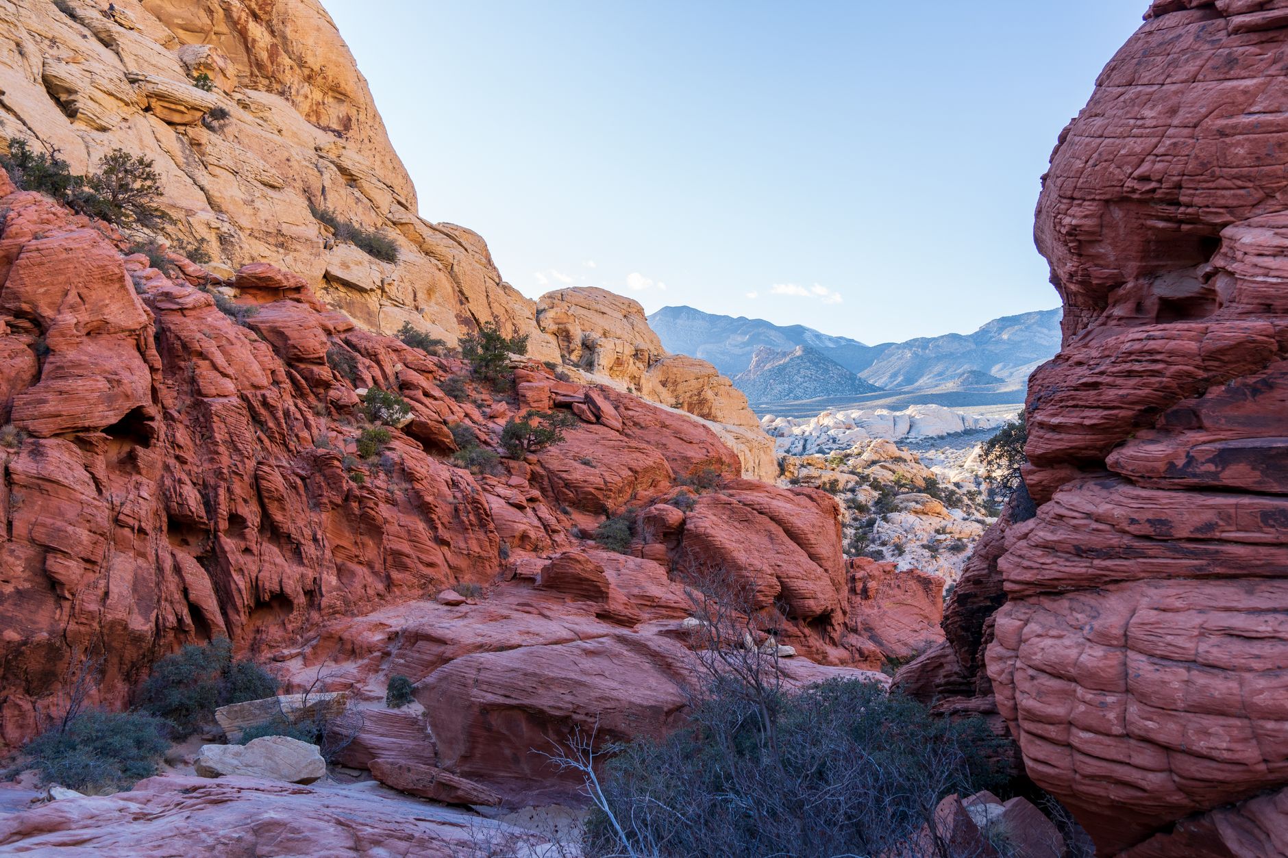 Towering sandstone rock formations rising above the flat desert floor of Wadi Rum at golden hour