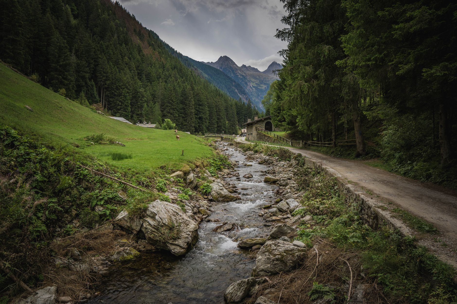 Clear mountain river flowing through a remote alpine valley with forested slopes