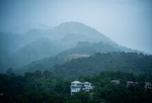 Green fog-covered mountains during monsoon season in southern Oman's Dhofar region