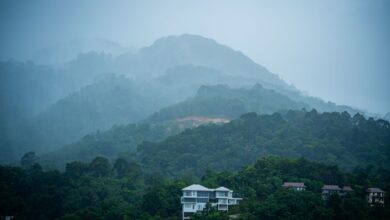 Green fog-covered mountains during monsoon season in southern Oman's Dhofar region