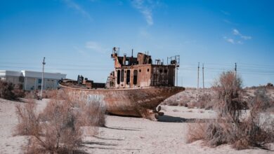 A rusted shipwreck half-buried in coastal desert sand along Namibia's Skeleton Coast
