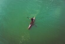 Travelers paddling a canoe on a wide African river at sunrise with wildlife on the bank