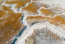 Vast white salt flats stretching to the horizon under a clear blue sky in Botswana's Makgadikgadi Pans