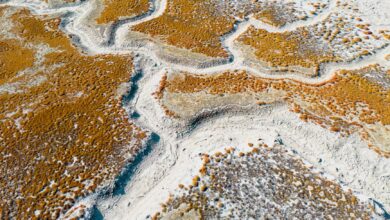 Vast white salt flats stretching to the horizon under a clear blue sky in Botswana's Makgadikgadi Pans