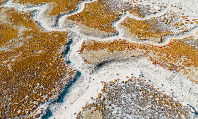 Vast white salt flats stretching to the horizon under a clear blue sky in Botswana's Makgadikgadi Pans