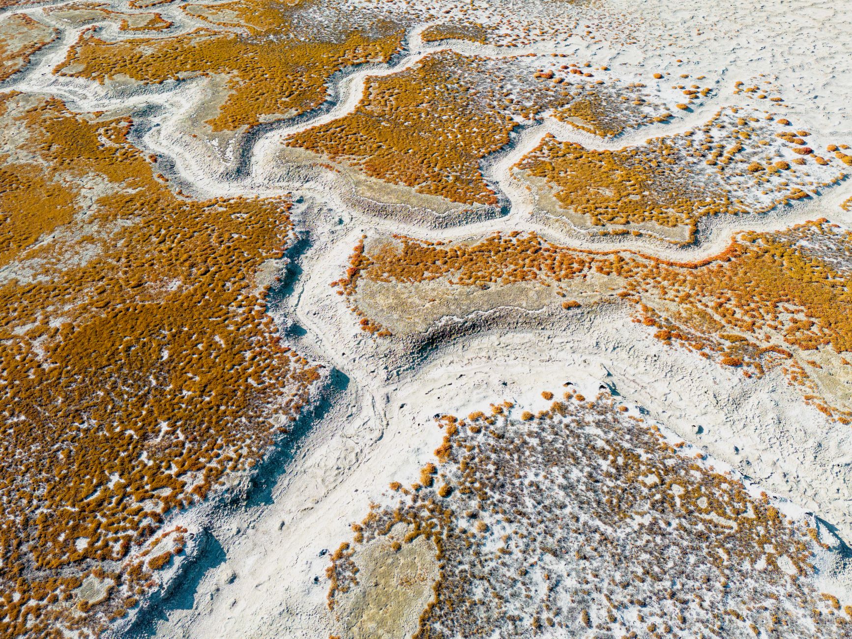Vast white salt flats stretching to the horizon under a clear blue sky in Botswana's Makgadikgadi Pans