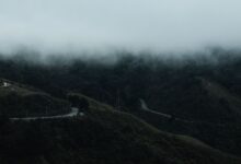 Winding mountain road descending through dense cloud forest in Bolivia's Yungas region