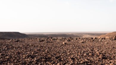Vast sandstone plateau in the Sahara desert under clear blue sky