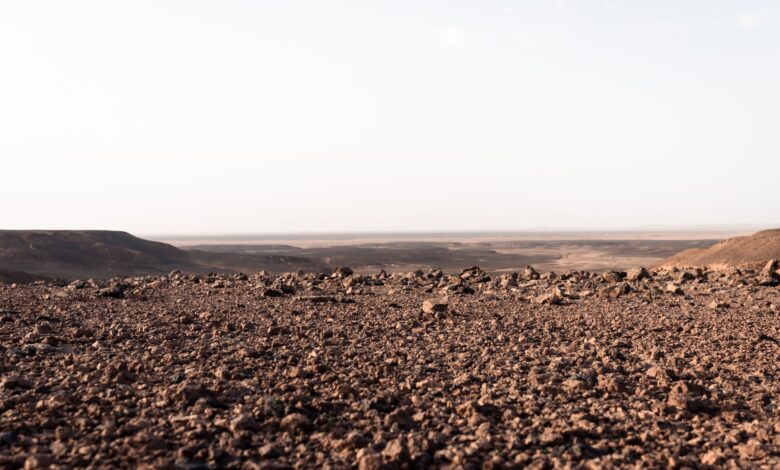 Vast sandstone plateau in the Sahara desert under clear blue sky