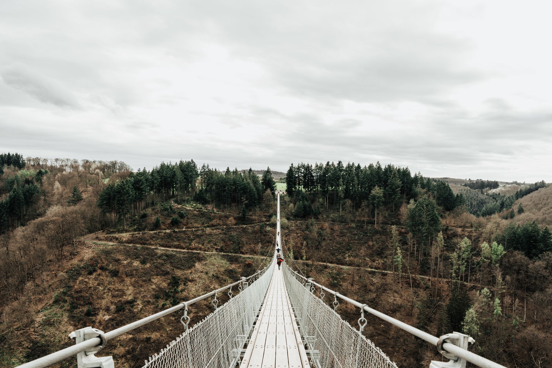 Elevated suspension walkway crossing above a forest valley